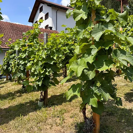 Luxury Family With Extraordinary Views Apartman Trin